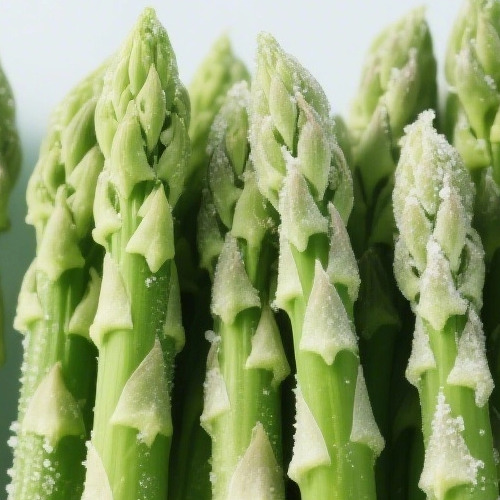 The 2025 GREEN ASPARAGUS  Unbeatable Prices